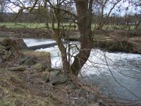 201003 Wehr und Graben Nettemühle Miesenheim